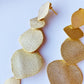 Pendientes Ivy
