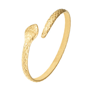 Pulsera rígida Serpiente